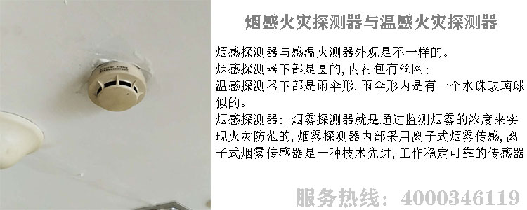 糖心在线观看视频探测器